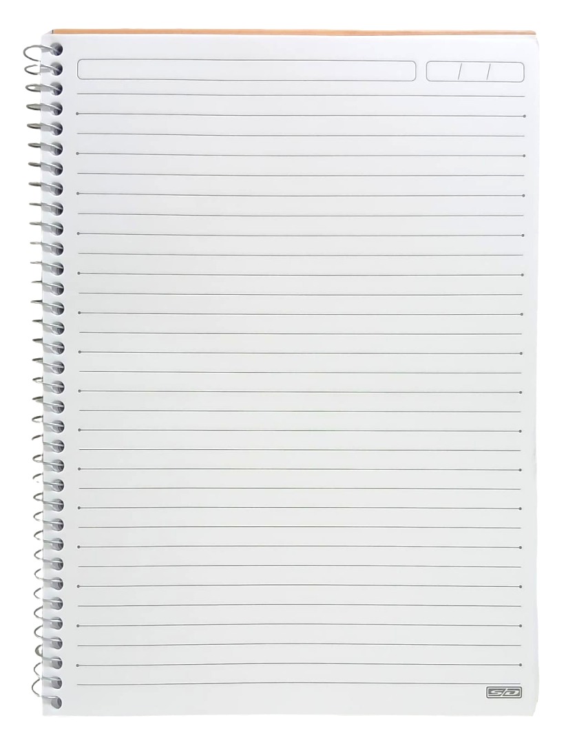 CADERNO 1X1 C.D. DISNEY 
